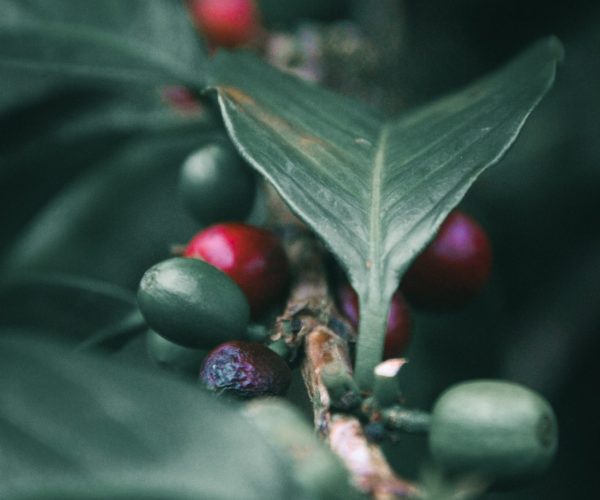 E-unsplash